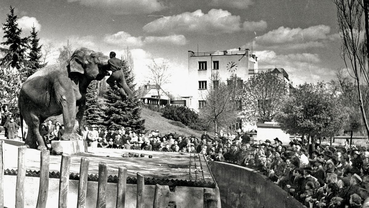 Pražská zoo oslavila devadesátiny ve stylu swingu